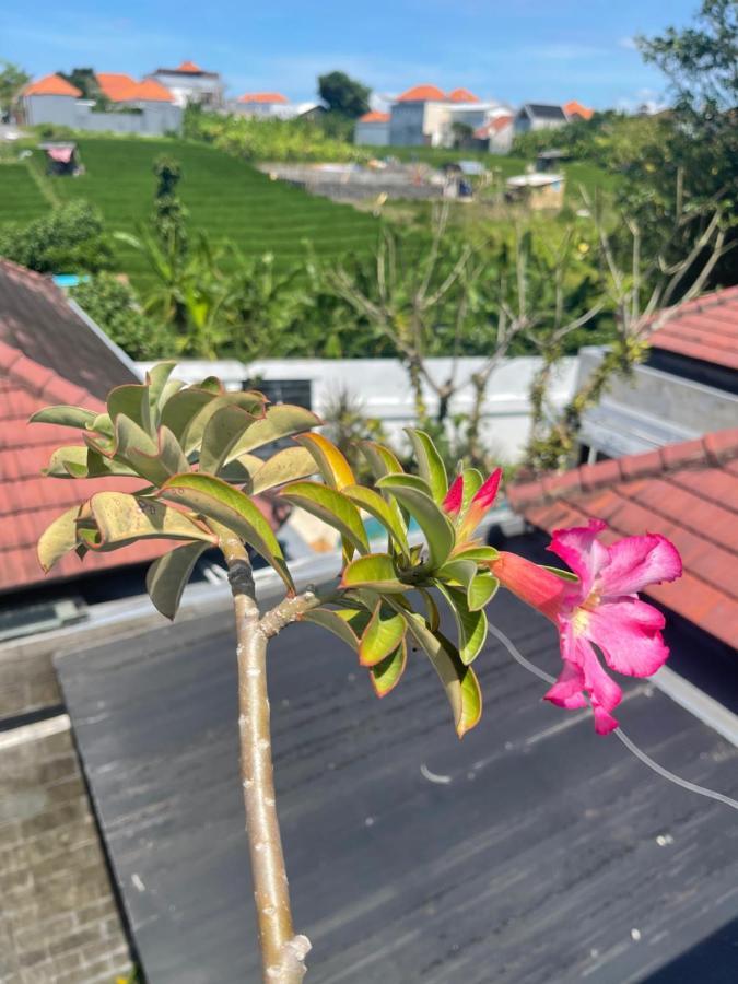 Villa Sydney Canggu Paddy Field View 3 Bed, Private Villa Esterno foto